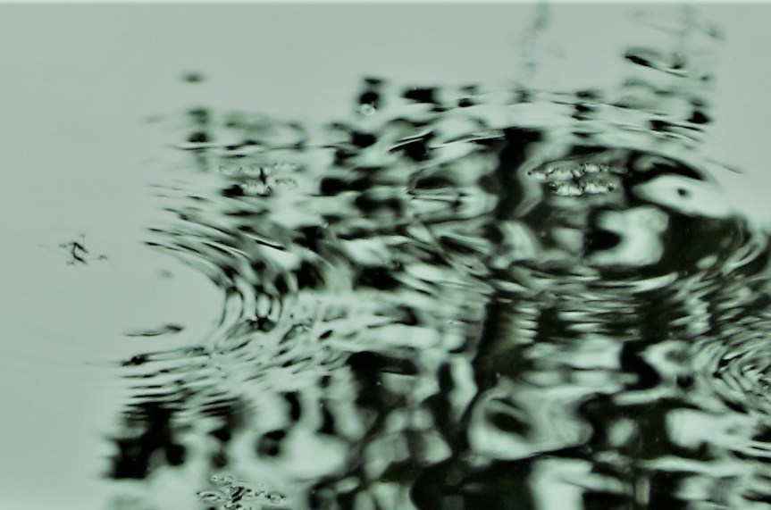 los sistemas dinámicos en un&nbsp;charco